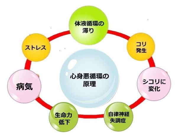 心身悪循環の法則